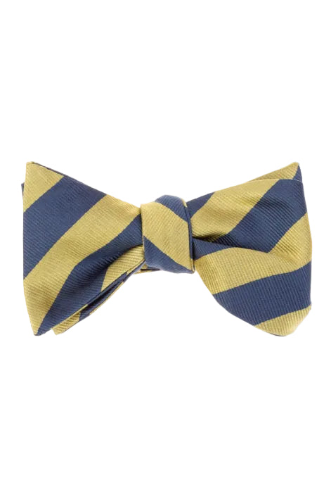 Self BowTie - Navy Gold