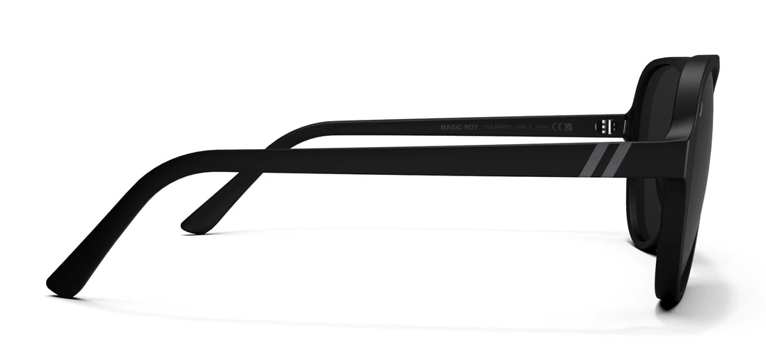 Blenders Magic Roy Sunglasses