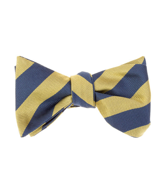 Self BowTie - Navy Gold