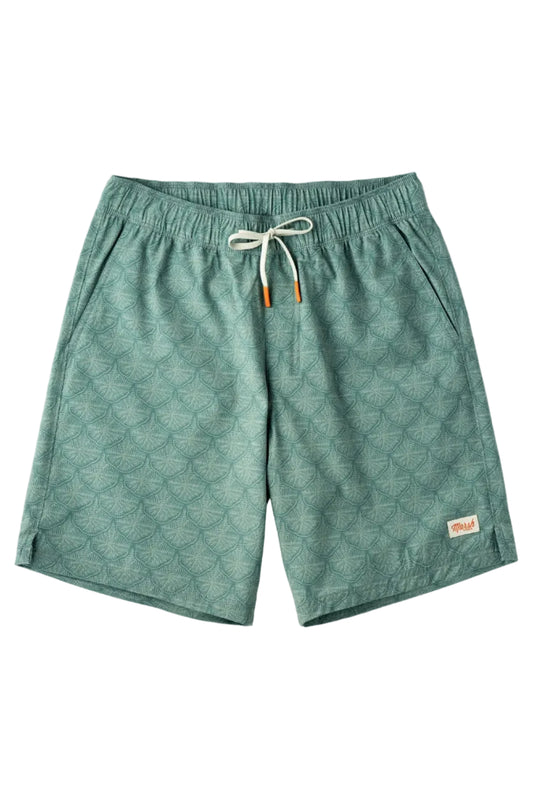 Marsh Wear | Fulton Volleys 8" Shorts | Antique Green