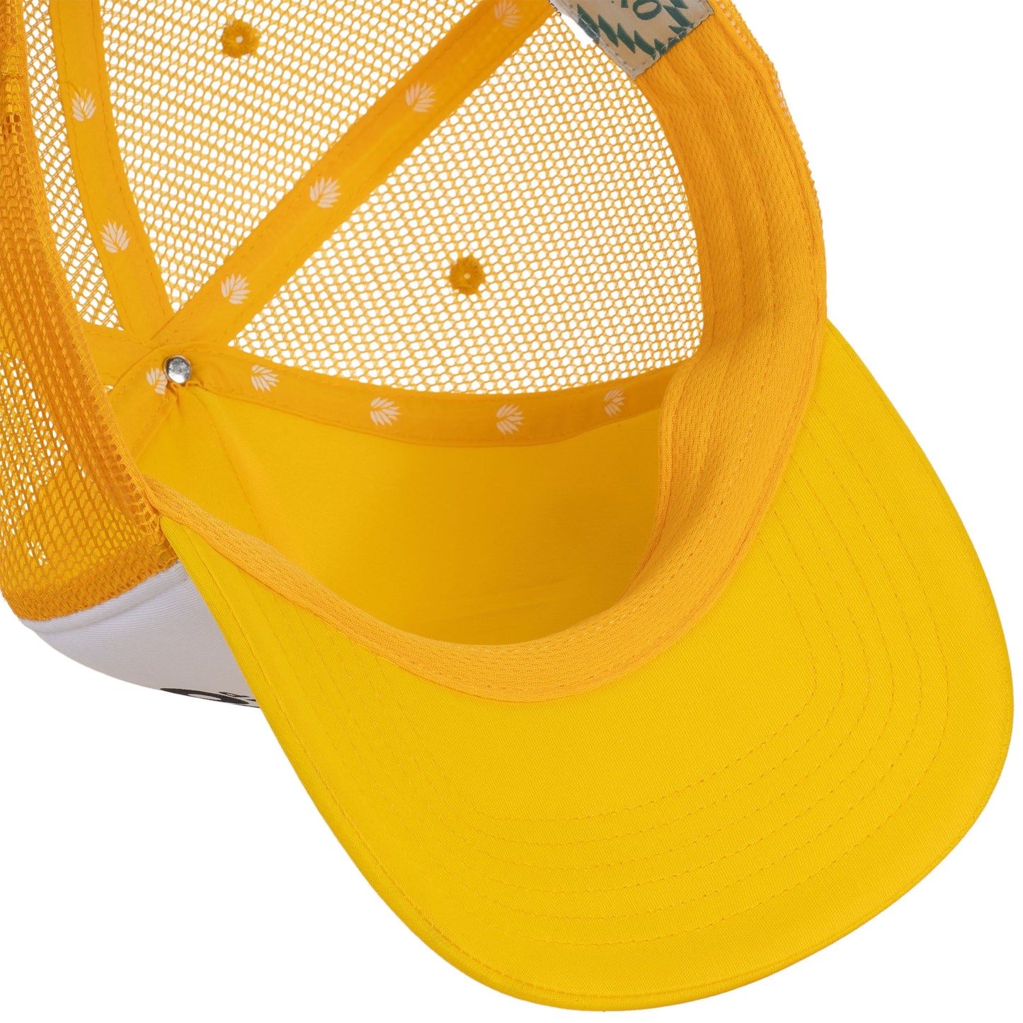 Sendero | Guitar Repair | Yellow