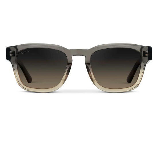 WMP Wayne Sunglasses -Graphite Horizon Grey / Grey Brown Gradient Lens
