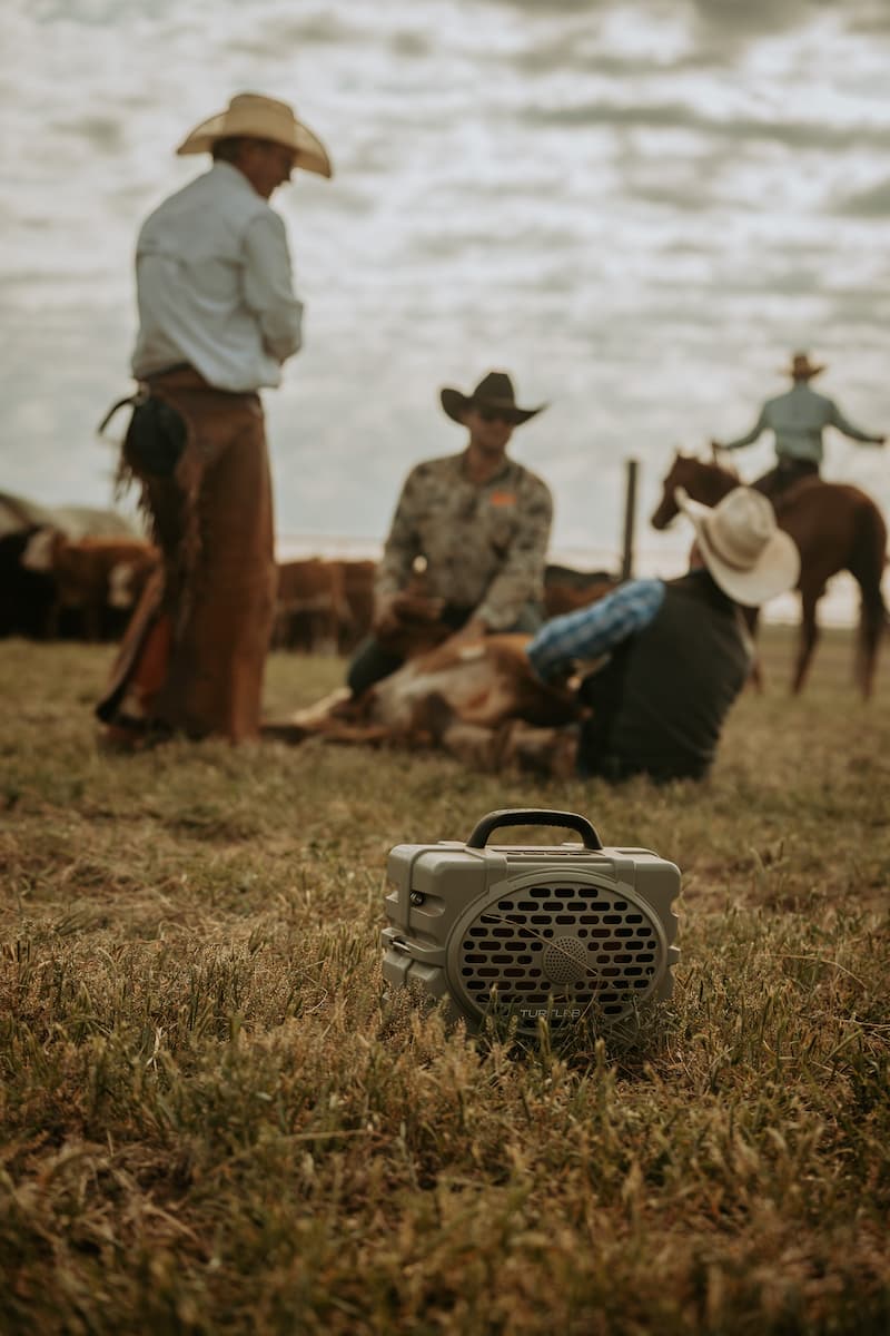 Turtlebox Original Speaker Field - Tan/Black