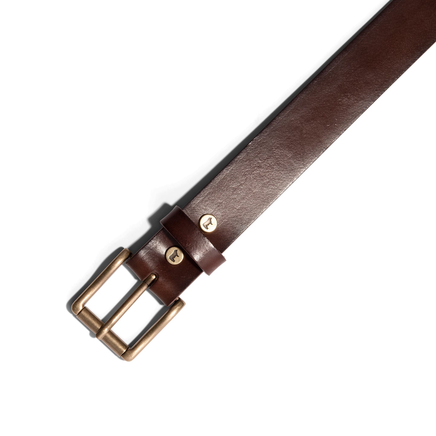 Will Leather Goods Saddle Belt - Dark Brown